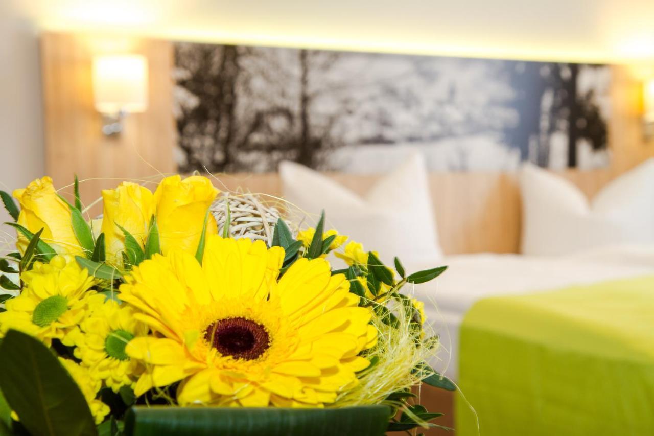 Hotel-Gasthof Blaue Traube E.K. Berching Δωμάτιο φωτογραφία